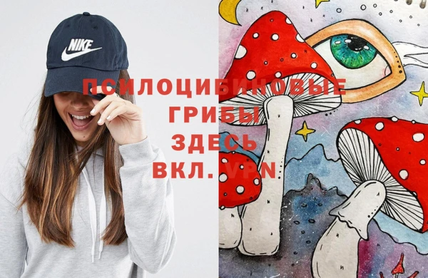 дживик Алексин