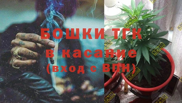 спиды Арсеньев