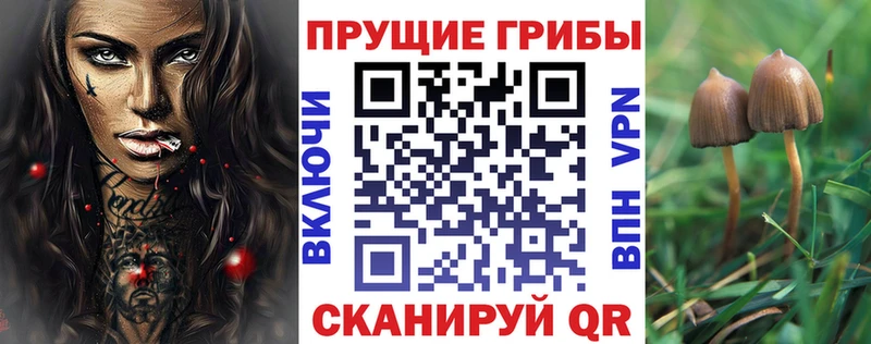 наркотики  Павловский Посад  мега онион  Галлюциногенные грибы Cubensis 